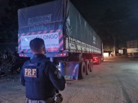 PRF apreende caminhão com carga ilegal de madeira na BR-230, Marabá/PA