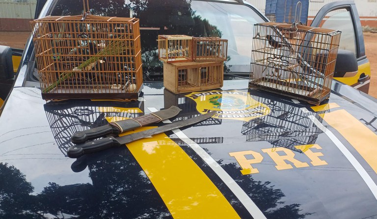 WhatsApp Image 2025-11-26 at 13.02.32.jpeg