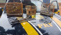 PRF resgata aves silvestres transportadas irregularmente durante fiscalização na BR-230, em Marabá/PA