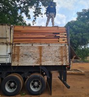 PRF apreende 162 m³ de madeira durante fiscalizações na BR-155, no Pará