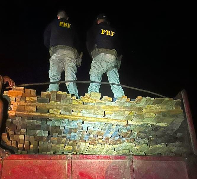 WhatsApp Image 2025-09-11 at 11.44.10.jpg