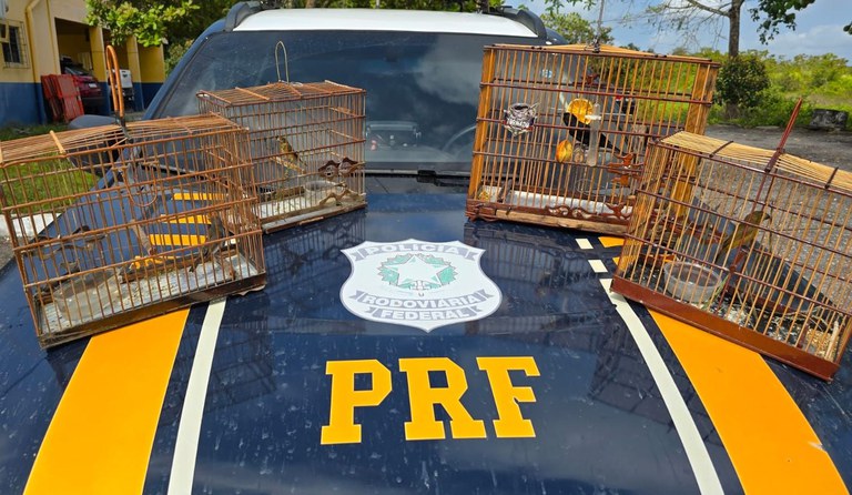 WhatsApp Image 2025-09-08 at 11.08.43.jpg