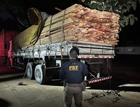 PRF apreende 21 m³ de madeira ilegal na BR-222, em Marabá/PA