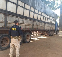 PRF apreende 55 m³ de carvão vegetal na BR-222, em Marabá/PA