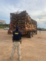 PRF apreende caminhão com 35 m³ de madeira ilegal na BR-155, em Eldorado dos Carajás/PA
