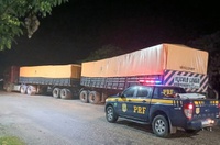 PRF prende motorista com documentos falsos e apreende anfetaminas na BR-010, em Ipixuna/PA