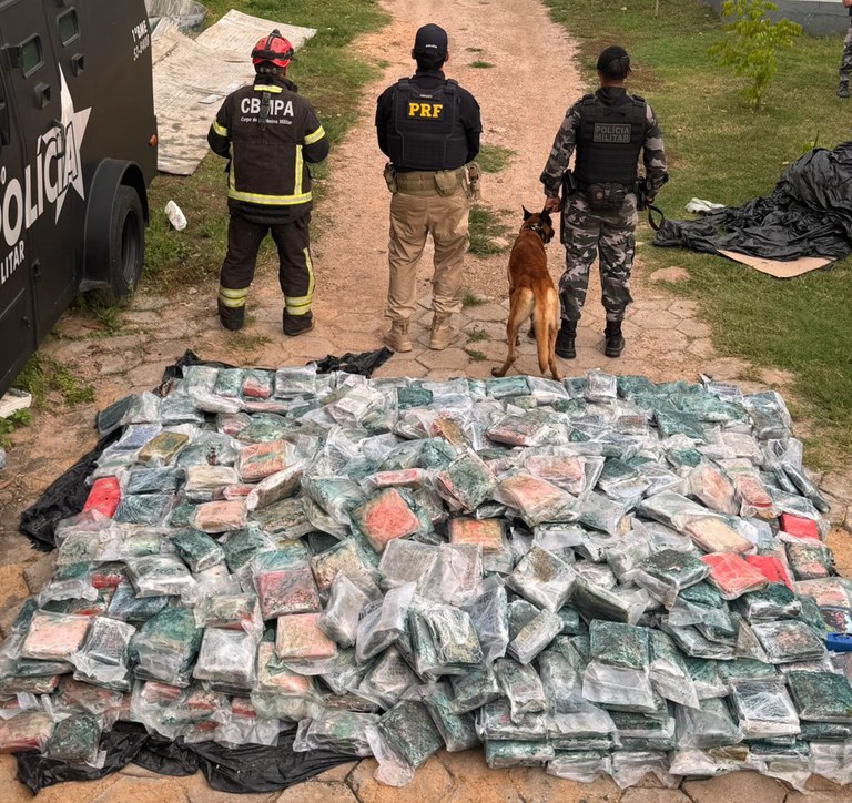 WhatsApp Image 2026-02-11 at 07.52.58.jpeg