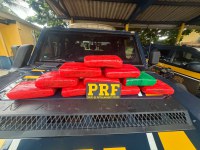 PRF apreende 11,7 kg de skunk em ônibus na BR-230, em Altamira/PA