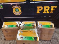 PRF apreende carga de incensos mata-mosquitos contrabandeados na BR-316, em Castanhal/PA