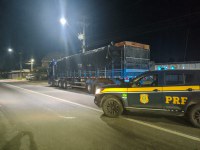 PRF apreende 47 m³ de madeira ilegal em Castanhal/PA