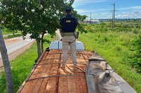 PRF apreende 57 m³ de madeira ilegal durante fiscalização na BR-230, em Vitória do Xingu/PA