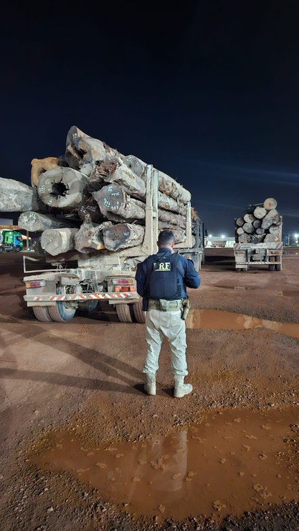 WhatsApp Image 2026-01-19 at 08.11.27.jpeg