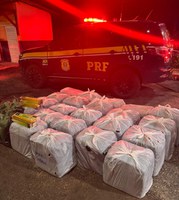 PRF apreende incensos mata-mosquito contrabandeados na BR-316, em Castanhal/PA