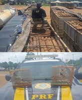 PRF resgata aves silvestres e apreende madeira ilegal durante fiscalizações na BR- 155, em Eldorado dos Carajás/PA