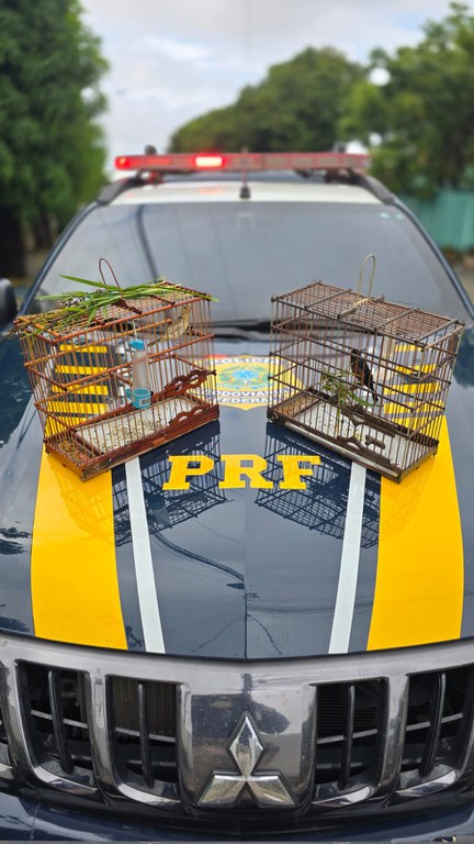 WhatsApp Image 2026-01-05 at 12.27.40.jpeg