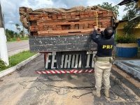 PRF apreende 18 m³ de madeira ilegal na BR-316, em Capanema/PA
