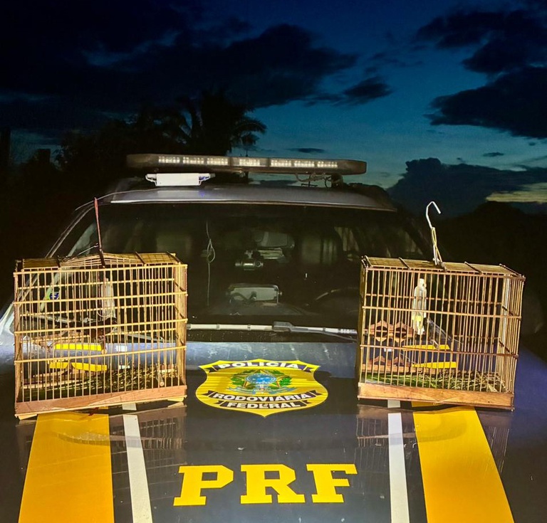 WhatsApp Image 2026-03-23 at 19.13.27.jpeg