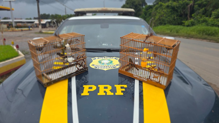 WhatsApp Image 2026-03-03 at 14.45.24.jpeg