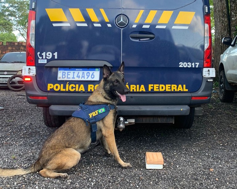 PRF apreende cocaína e dinheiro, em Castanhal/PA