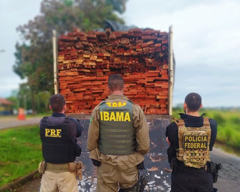 PRF, PF e Ibama apreendem mais de 57 m³ de madeira ilegal, em ação conjunta no município de Anapu/PA