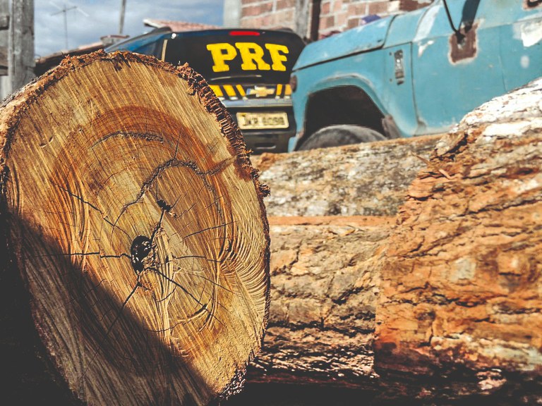 PRF intensifica combate a crimes ambientais nas rodovias federais do Pará