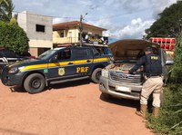 Em Anapú/PA, a PRF recupera caminhonete roubada em Goiás
