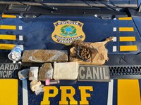 Em fiscalização a ônibus, PRF apreende drogas, pássaros e celular roubado