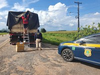 PRF apreende caminhão carregado com produtos falsificados, em Ipixuna/PA