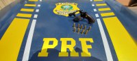 PRF apreende revólver e madeira sendo transportada ilegalmente, em Uruará/PA