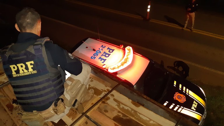 PRF apreende 50m³ de madeira e comprimidos de anfetamina, em Anapu/PA