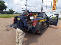 PRF recupera motocicleta roubada, em Castanhal/PA