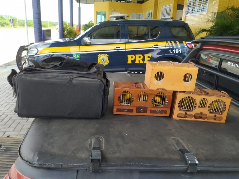 WhatsApp Image 2022-03-22 at 16.47.51 (1).jpeg