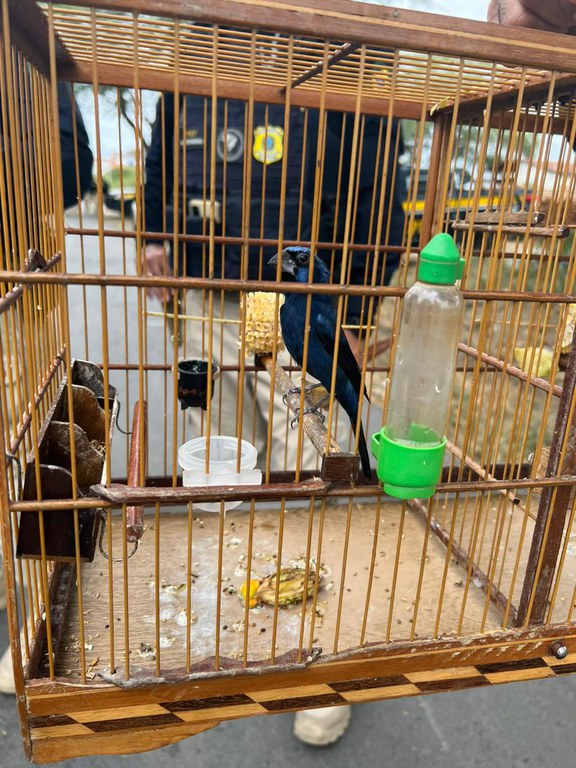 WhatsApp Image 2023-11-06 at 15.02.27.jpeg