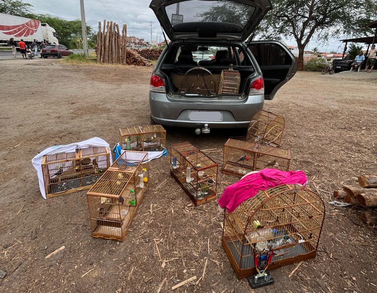 WhatsApp Image 2023-11-06 at 15.02.28 (1).jpeg