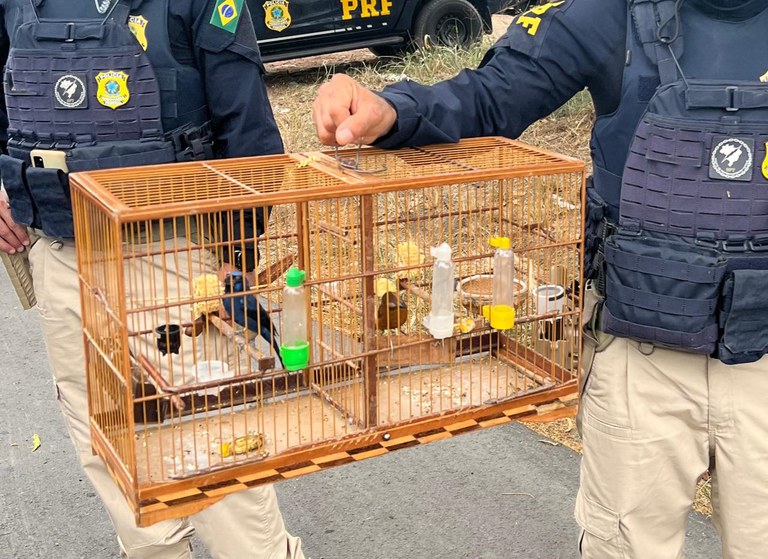 WhatsApp Image 2023-11-06 at 15.17.56.jpeg