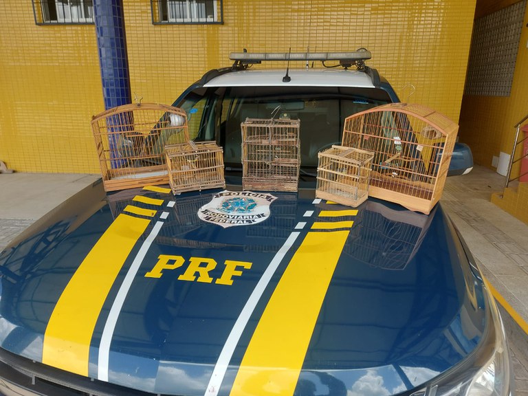 WhatsApp Image 2023-09-08 at 13.27.01.jpeg