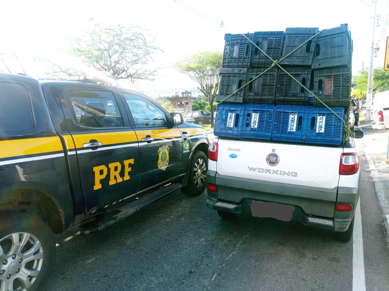 WhatsApp Image 2024-04-15 at 09.40.10.jpeg