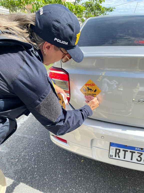 WhatsApp Image 2024-04-26 at 12.27.43.jpeg