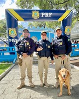 PRF na Paraíba realiza ação alusiva ao Dia D de Proteção Animal