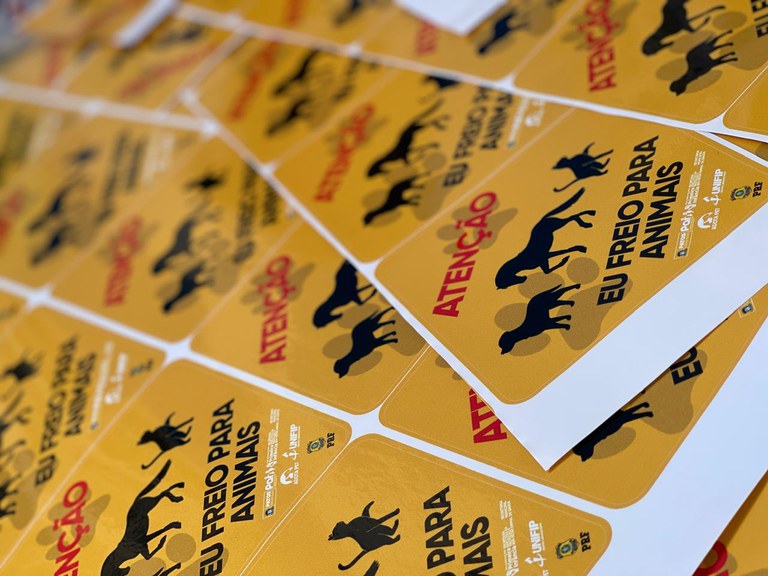 WhatsApp Image 2024-04-26 at 12.27.45.jpeg