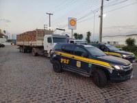 PRF recupera veículos e cumpre mandado de prisão na Paraíba