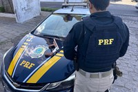 PRF na Paraíba recupera carro roubado e tira de circulação espingarda