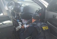 Carro roubado em Pesqueira-PE que circulava clonado é recuperado pela PRF em São Mamede-PB