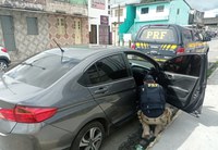 Oito pessoas são detidas por equipes da PRF na Paraíba durante o último final de semana