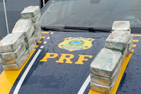 PRF e PMPB apreendem 25 kg de pasta base avaliada em R$ 3 milhões no município de Mari-PB