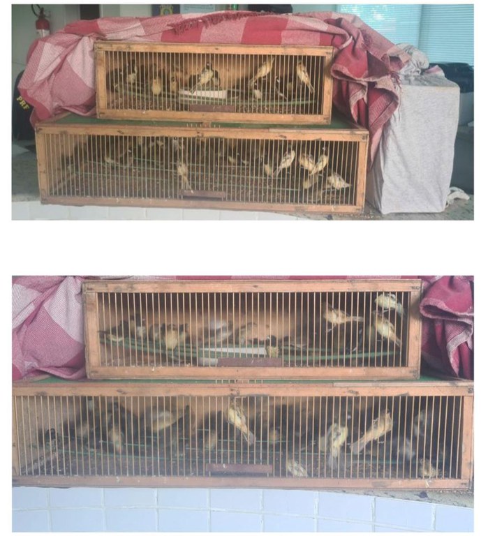 WhatsApp Image 2024-05-21 at 15.20.53.jpeg