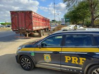 PRF flagra transporte irregular de animais durante fiscalização na BR-104, em Queimadas