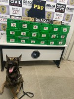 PRF em ação conjunta com a Polícia Civil apreende 80kg de cocaína em São José de Piranhas-PB