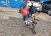 PRF na Paraíba apreende dois veículos adulterados, recupera carro roubado e prende foragido da Justiça por estupro de vulnerável