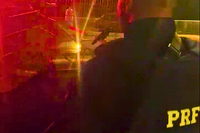 PRF resgata pássaros silvestres e autua indivíduos em Alhandra-PB